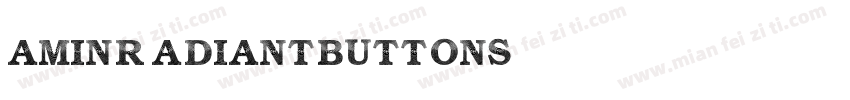 Amin Radiant Buttons字体转换